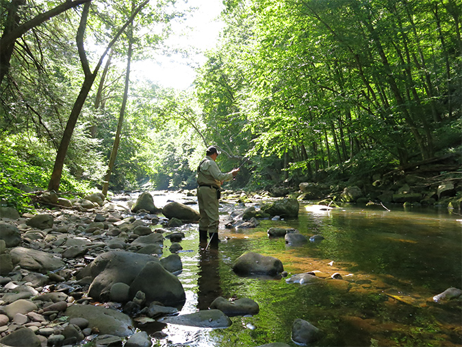 Savage River Fly Fishing