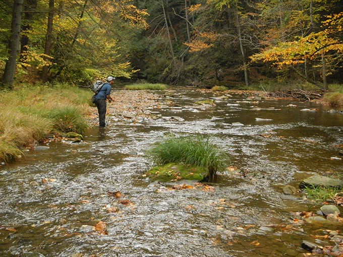 Slate Run angler