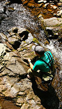 Washington Jefferson National Forest overhead angler